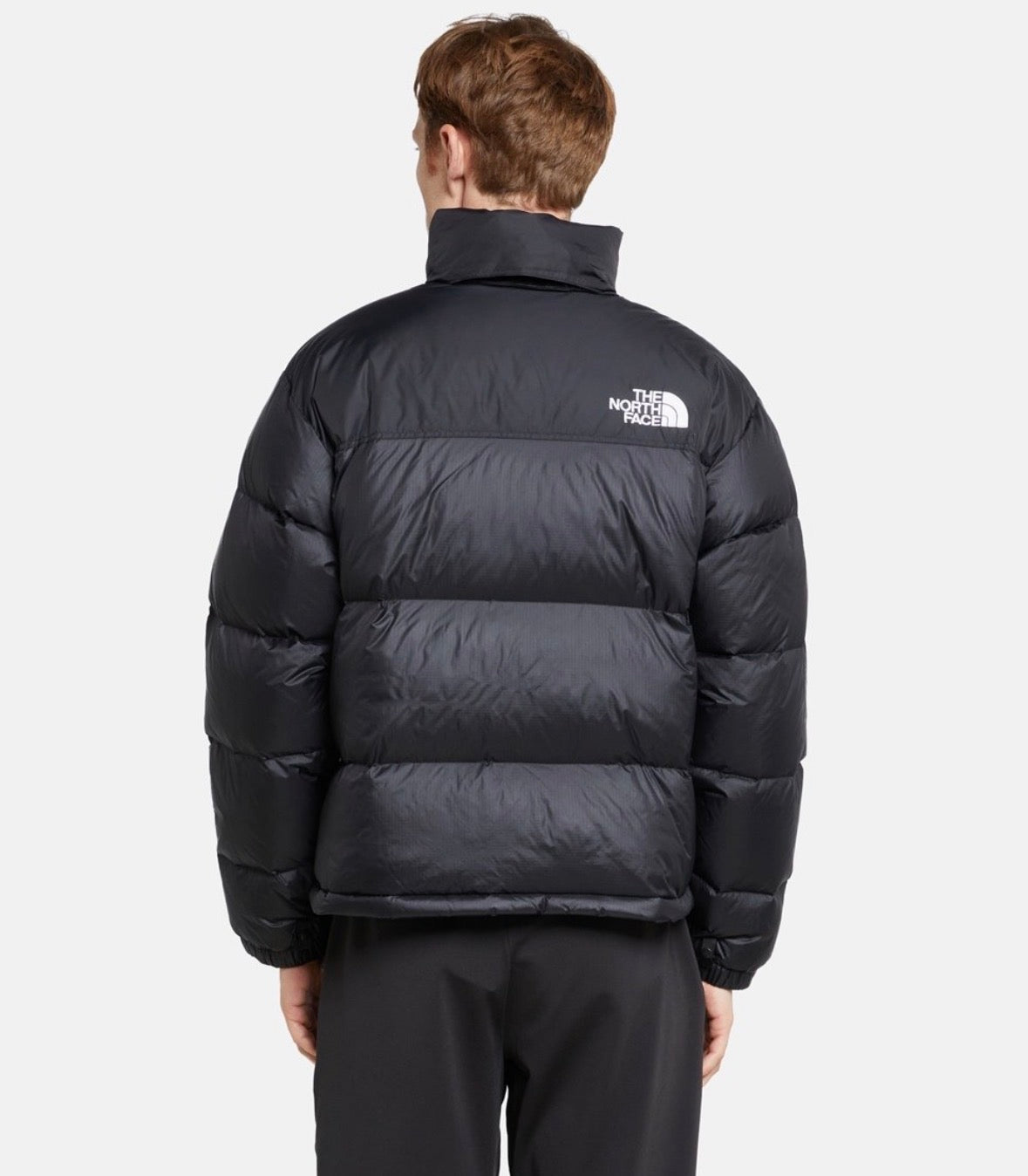 The north face down jacket