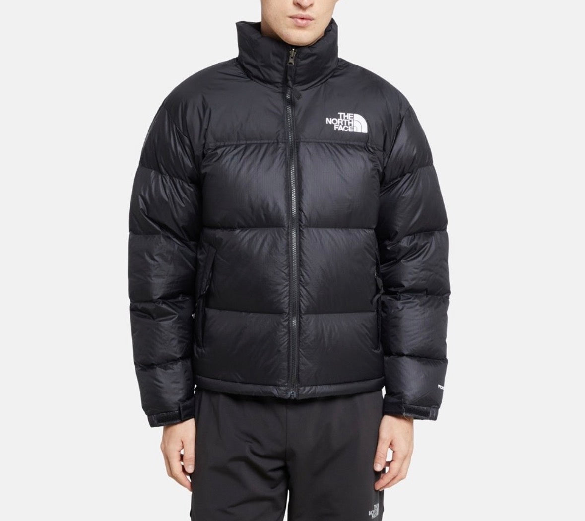 The north face down jacket