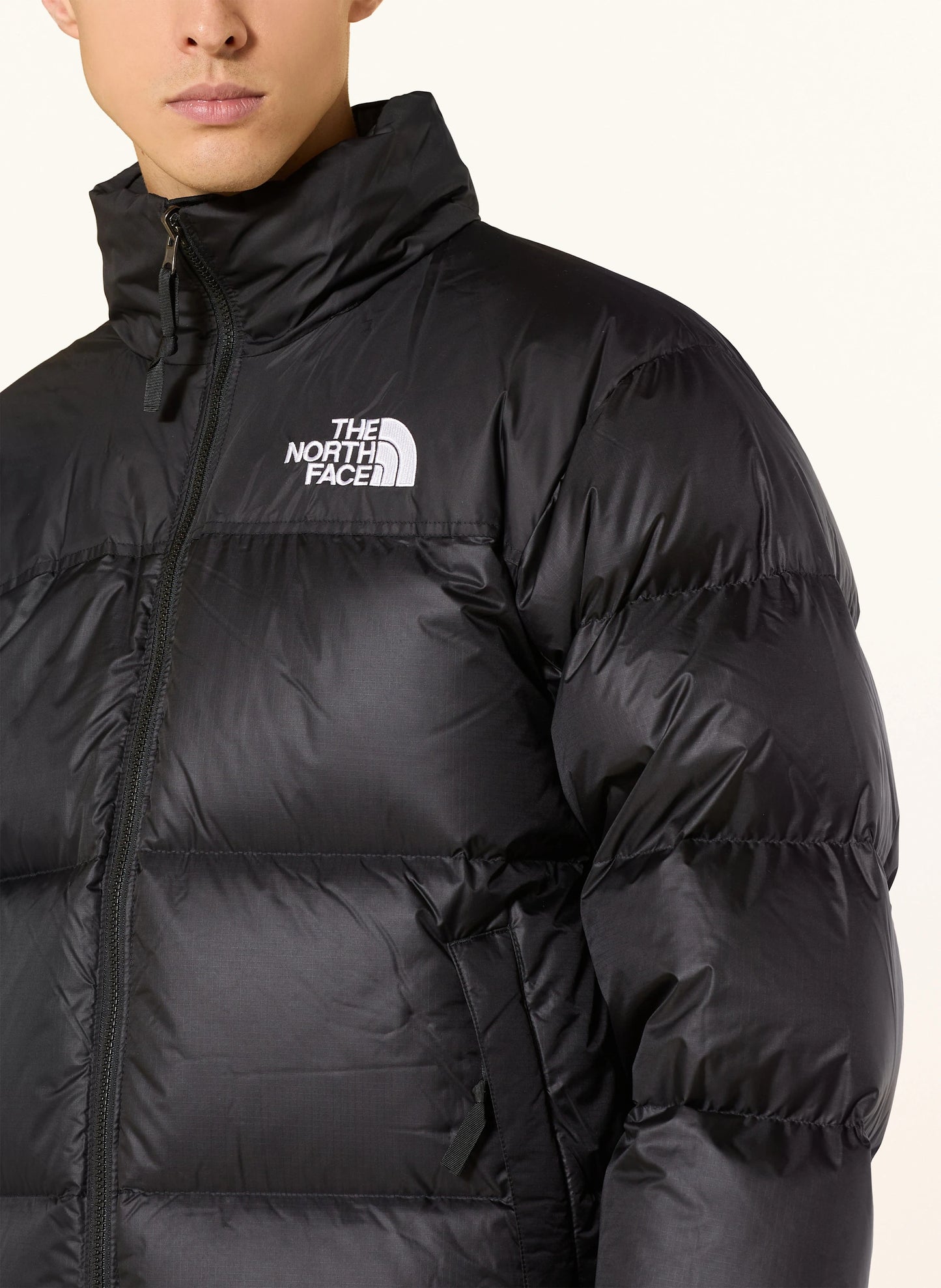 The north face down jacket
