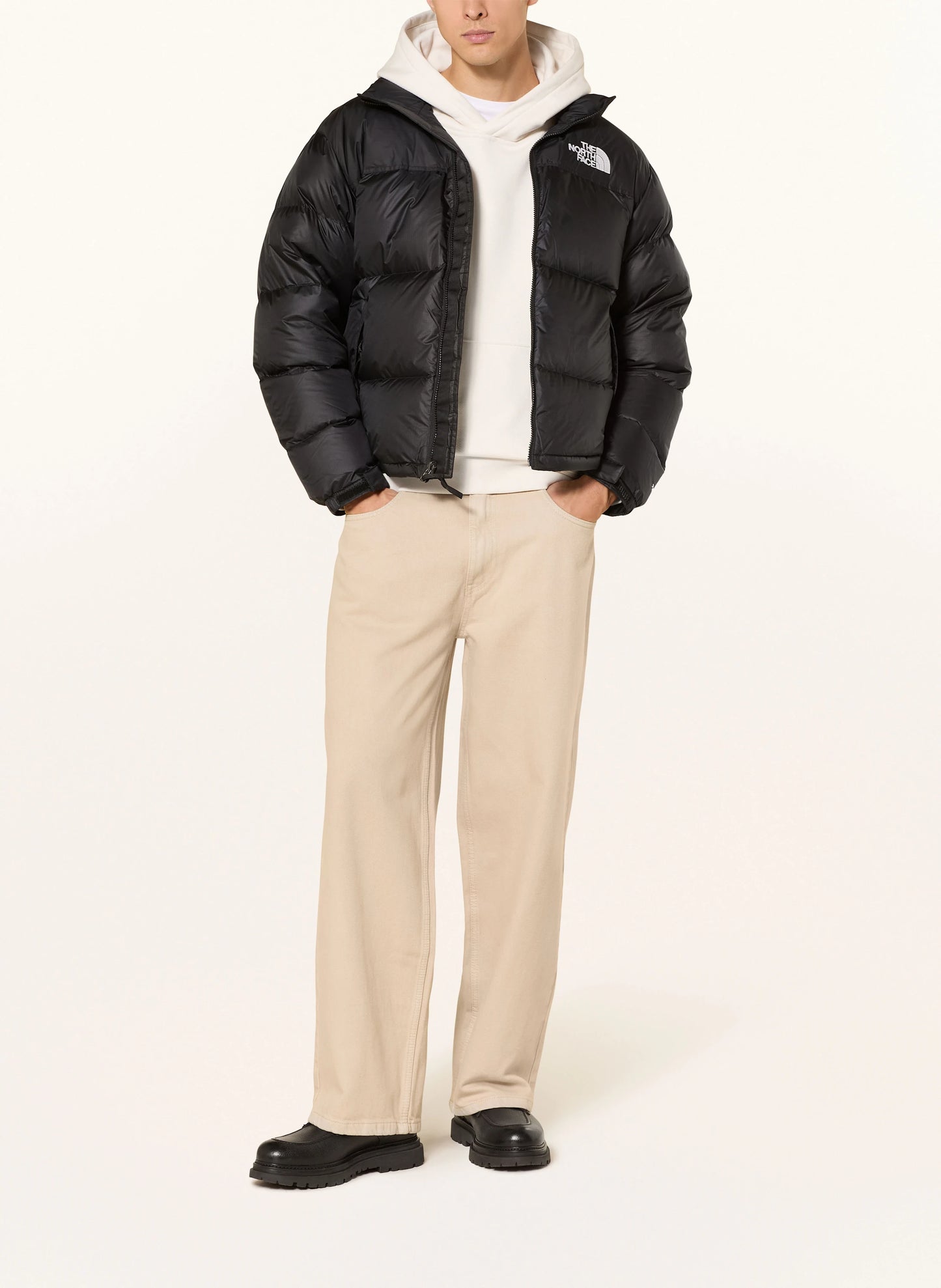 The north face down jacket