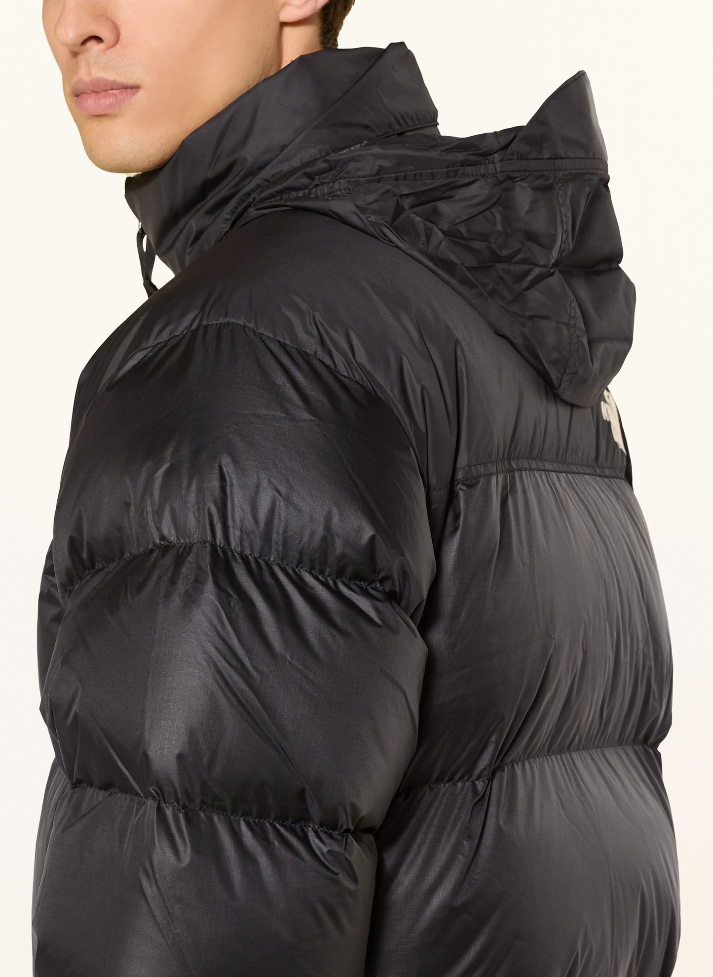 The north face down jacket