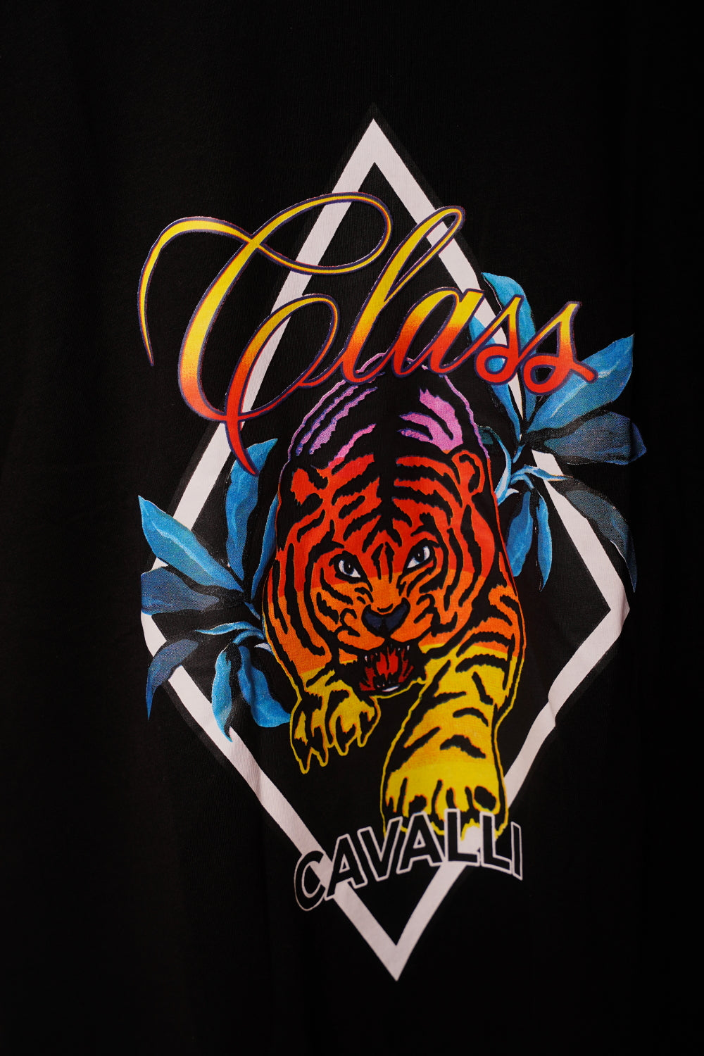 Cavalli Class T-shirt