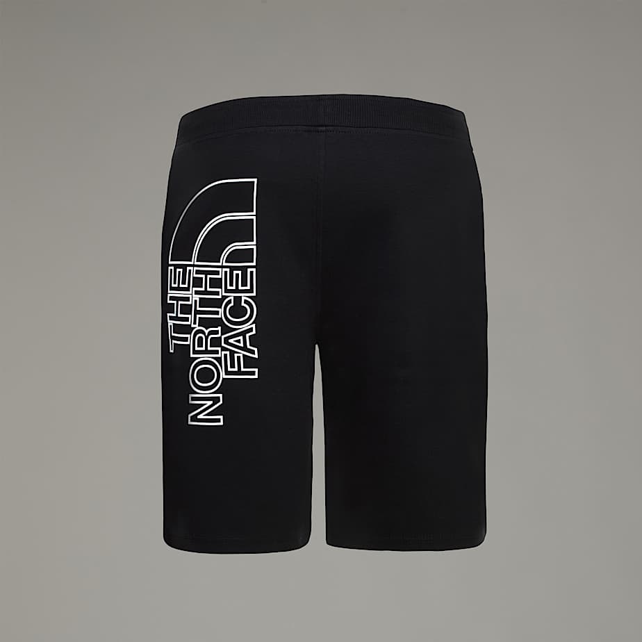 The north face shorts