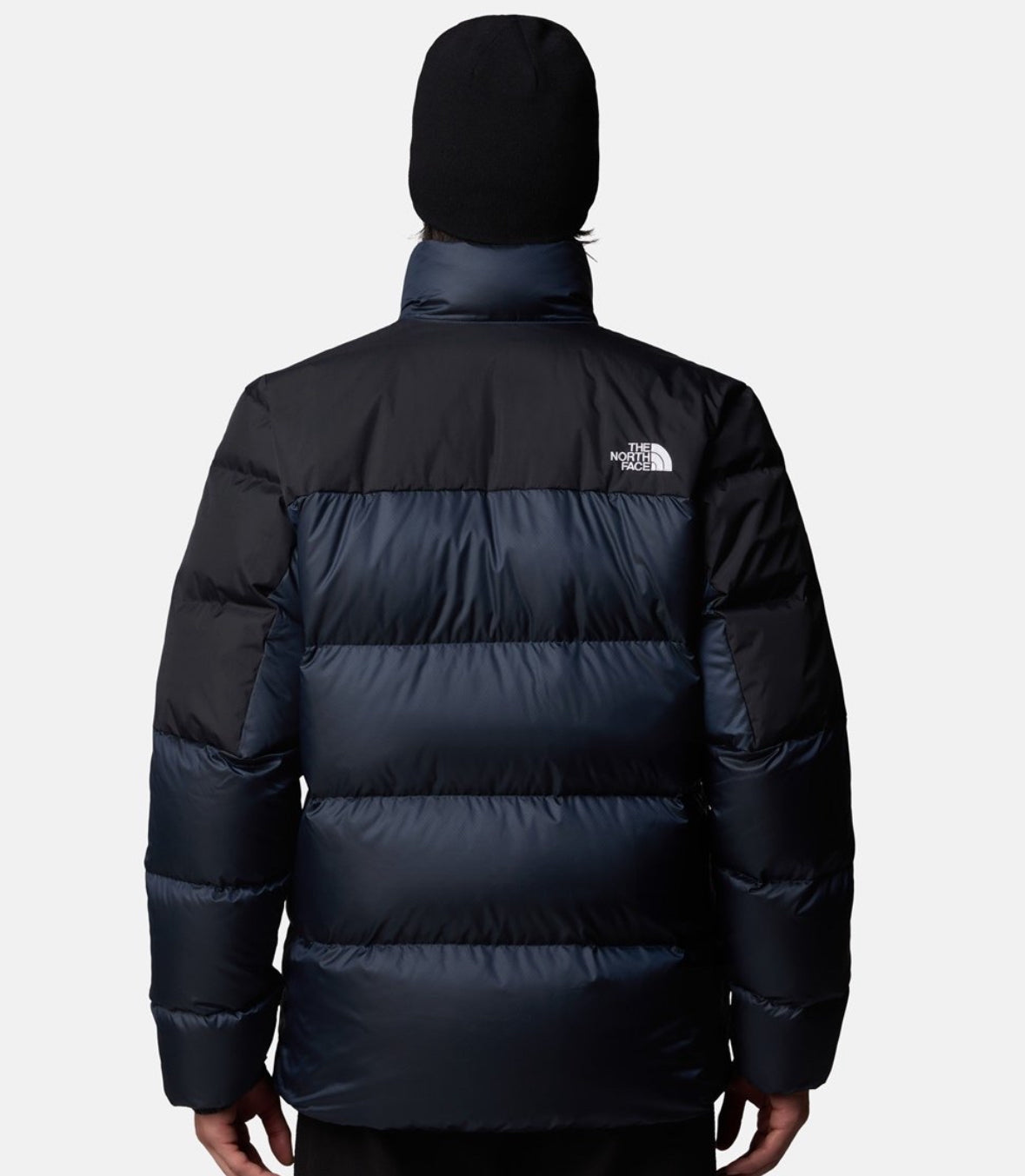 The north face jacket