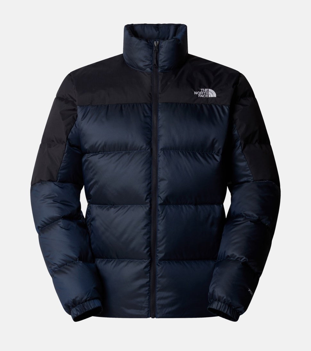 The north face jacket