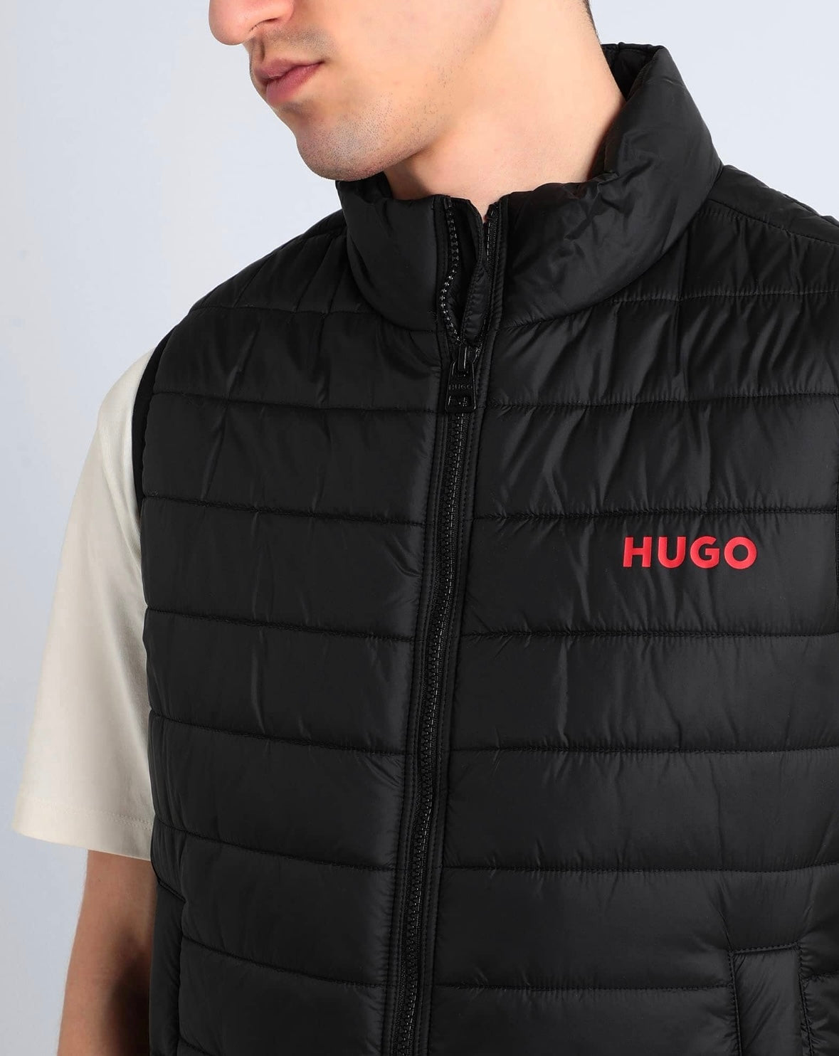 Hugo Vest