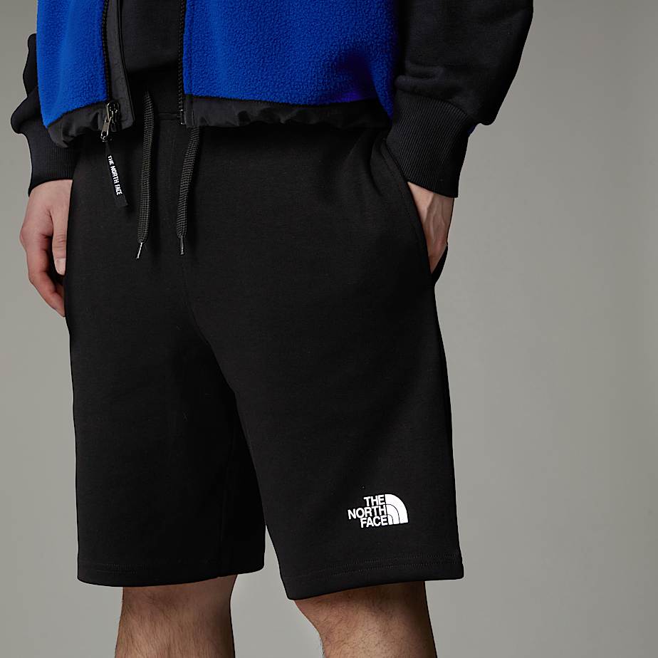 The north face shorts