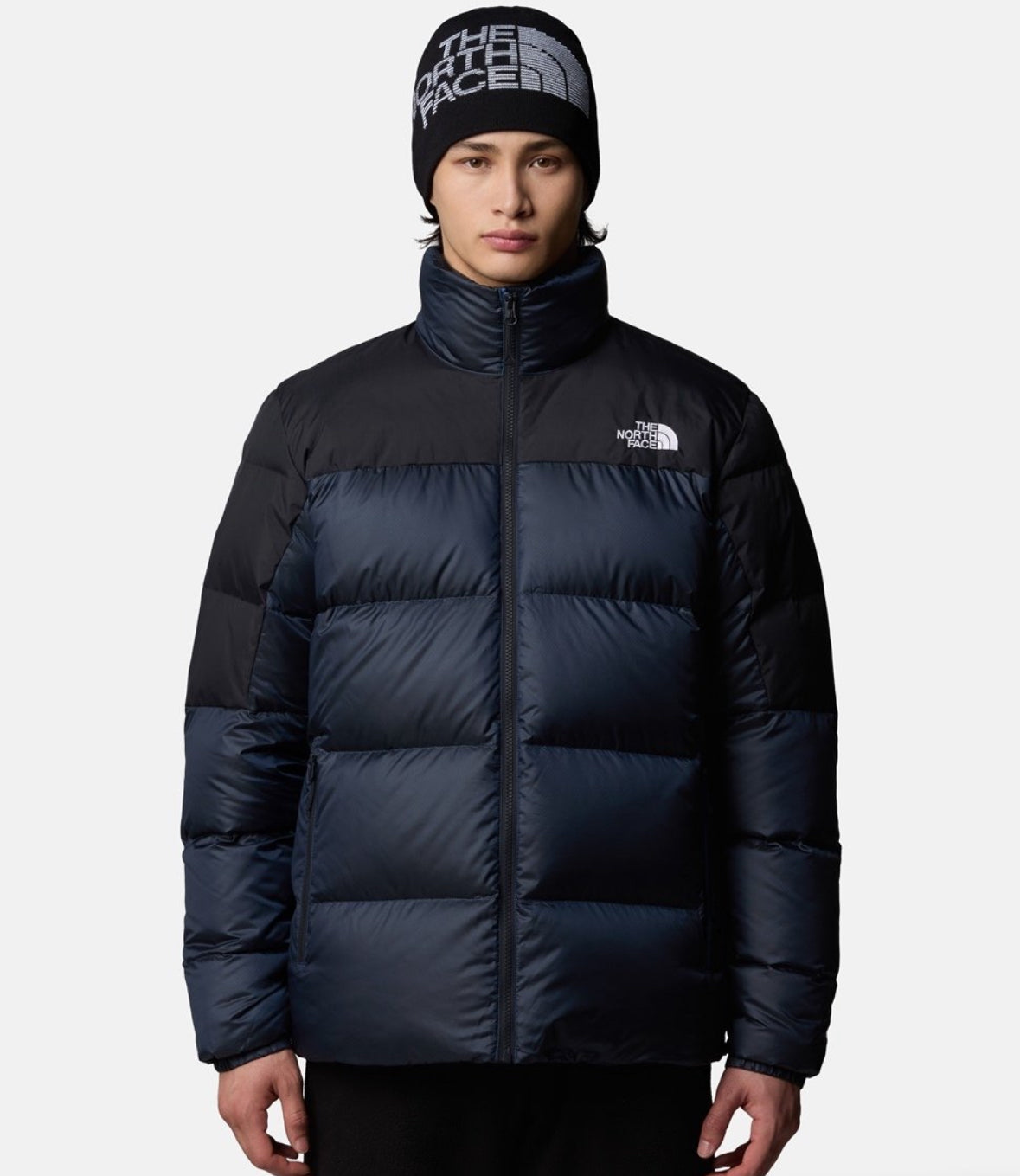 The north face jacket