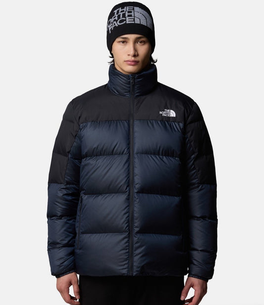 The north face jacket