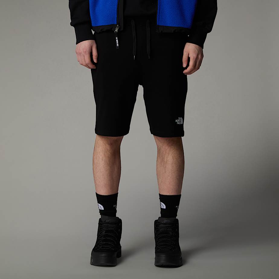 The north face shorts
