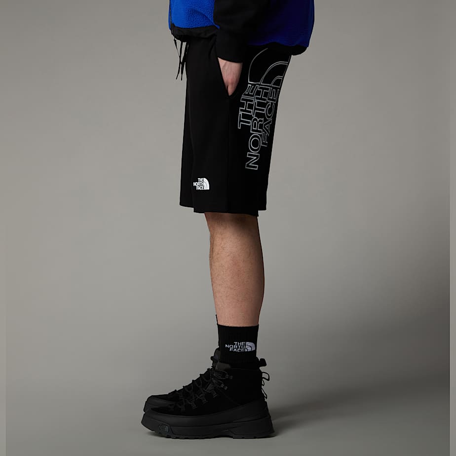 The north face shorts