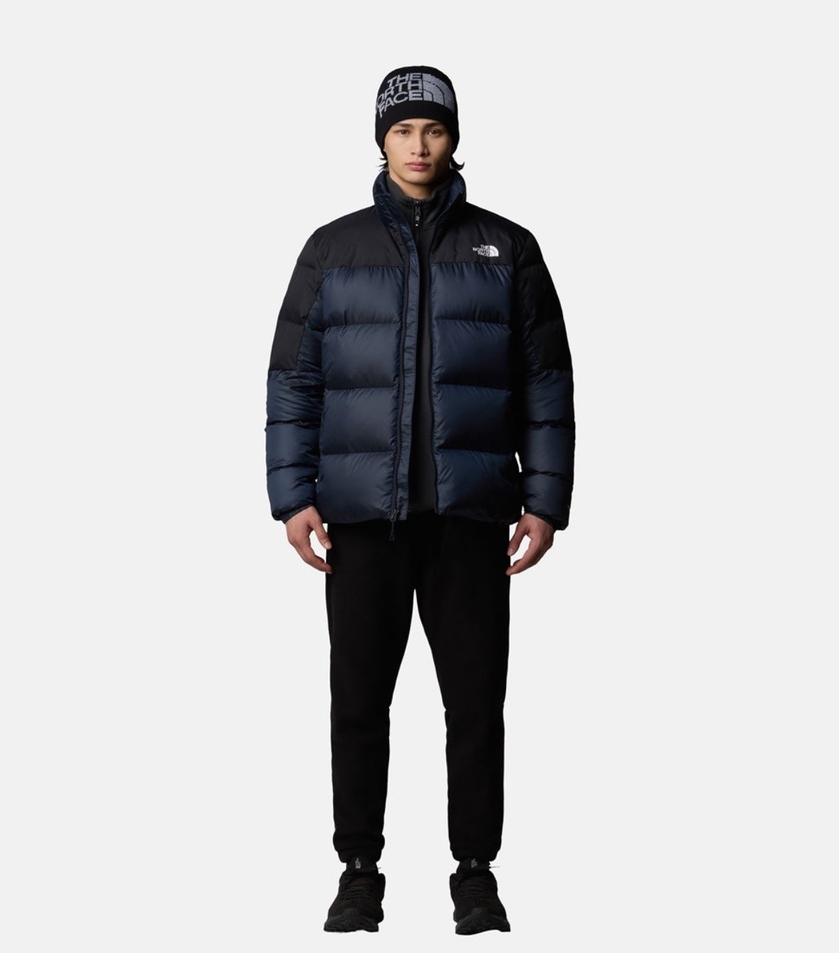 The north face jacket