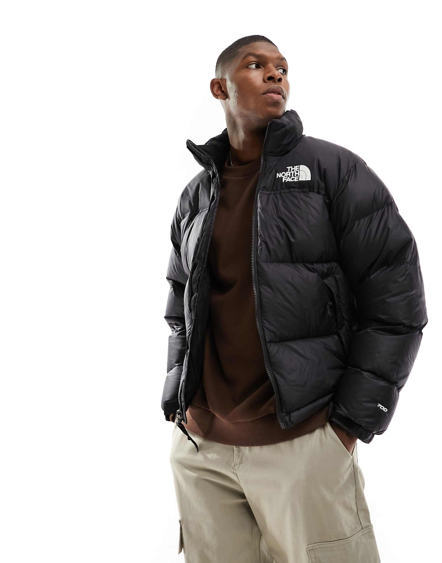 The north face down jacket