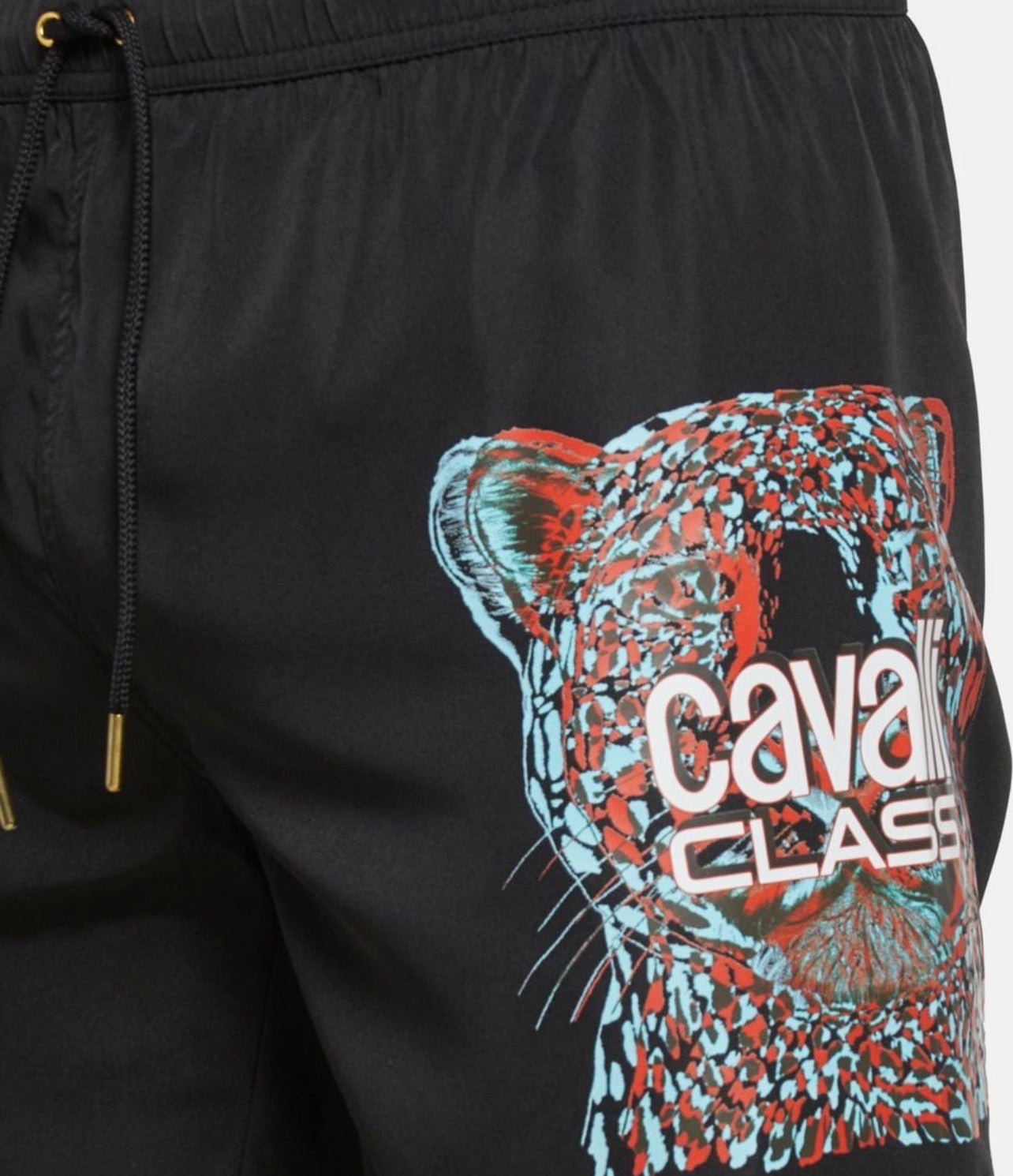 Cavalli class swimwear